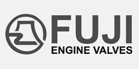 fuji engine valves